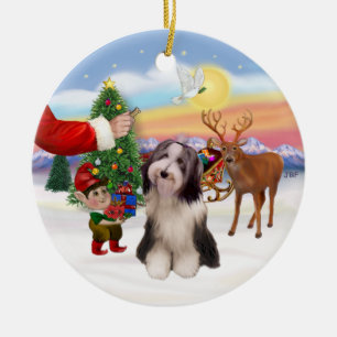 Leckerei für eine Bartollie (#4) Keramikornament