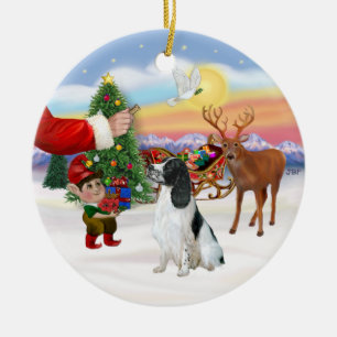 Leckerei für einen englischen Springer Spaniel Keramikornament