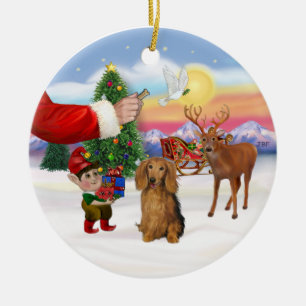 Leckerei für einen langhaarigen Dachshund Keramikornament