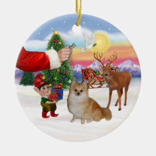 Leckerei für einen Pomeranian Keramikornament