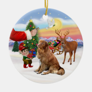 Leckerei für einen Rückzug der Duck Tolling Retrie Keramik Ornament