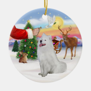 Leckerei für einen Samojeden (#1) Keramik Ornament