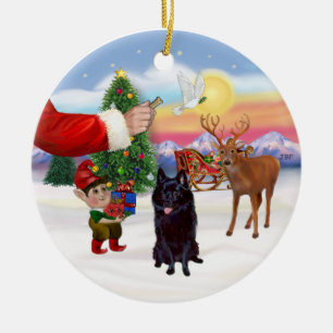 Leckerei für einen Schipperke Keramik Ornament