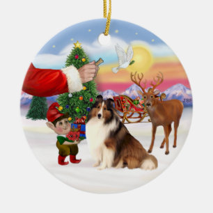 Leckerei für einen Shetland Sheepdog (#7) Keramik Ornament