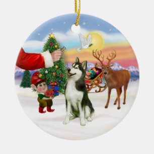 Leckerei für einen sibirischen Husky (#3) Keramikornament