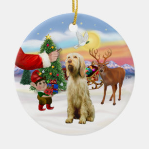 Leckerei für einen Spinone Italiano Keramikornament