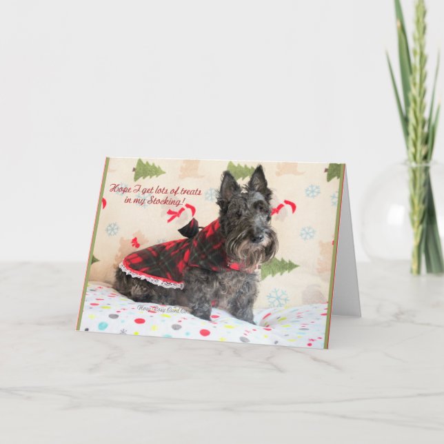 Leckereien in meinem Strumpf Karte (Vorderseite)