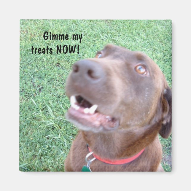 Leckereien JETZT Magnet (Vorne)