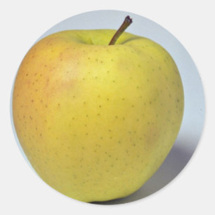 Leckerer Golden Delicious Apfel Runder Aufkleber