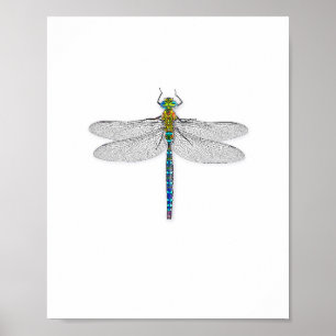Leckeres Dragonfly Art Print Poster