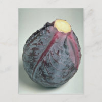 Leckeres Kohl