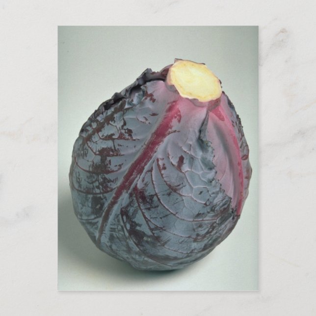 Leckeres Kohl Postkarte (Vorderseite)