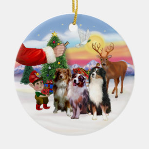 Leckerli für drei Australian Shepherd Keramik Ornament