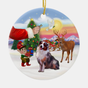 Leckerli für einen Australian Shepherd (Merle) Keramikornament