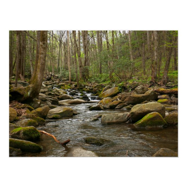 LeConte Creek at Great Smoky Mountains Poster (Vorderseite)