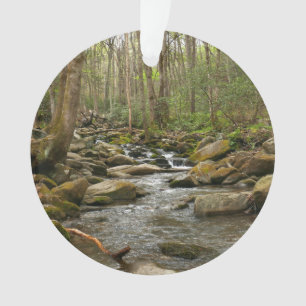 LeConte Creek auf den Großen Smoky-Bergen Ornament