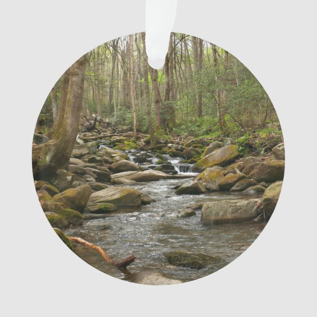 LeConte Creek auf den Großen Smoky-Bergen Ornament (Vorderseite)