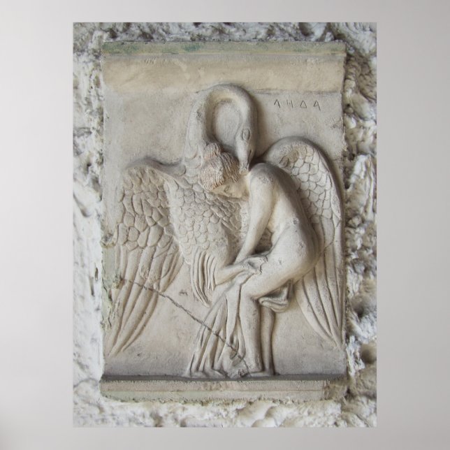 Leda und Swan Poster (Vorne)