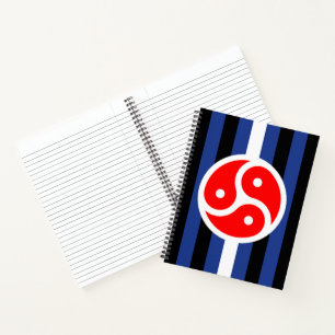 Leder-Praxis-Stolzflagge Notizbuch
