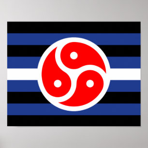 Leder-Praxis-Stolzflagge Poster