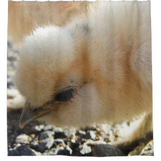 Lederfarbenes Silkie Huhnküken Duschvorhang