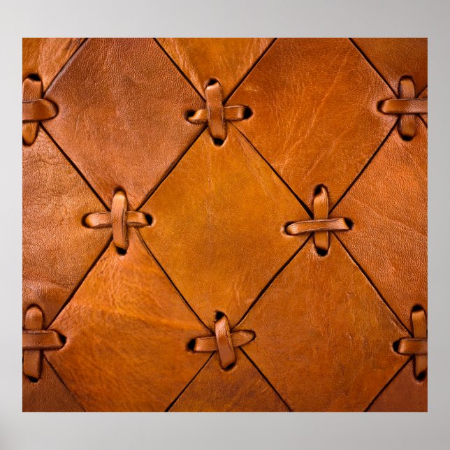 Ledertextur, natürliche Selektion Details. Poster (Vorne)