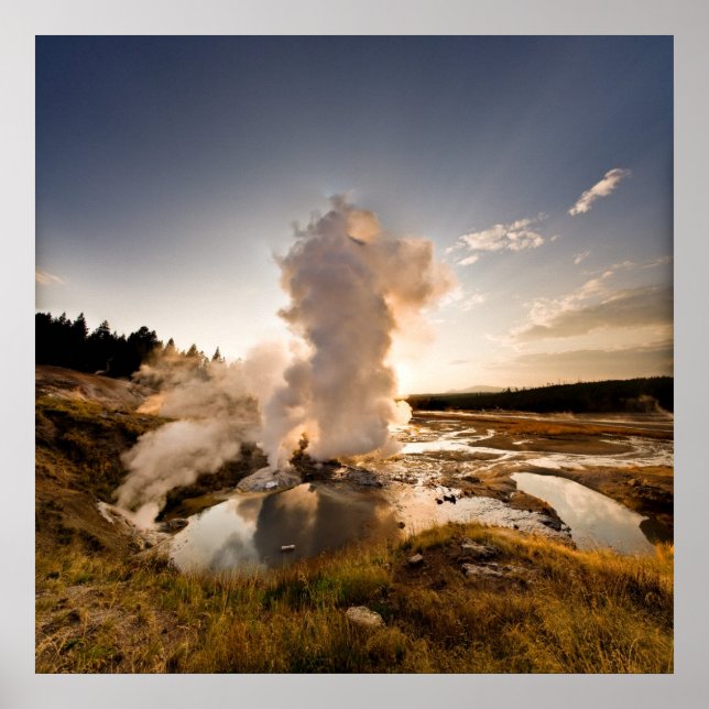 Ledge Geyser, Norris Geyser-Becken Poster (Vorne)