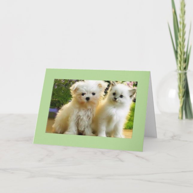 LEDIGLICH* FÜR IHREN GEBURTSTAG KARTE (Vorderseite)