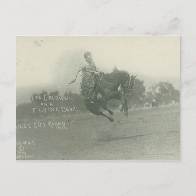 Lee Caldwell reitet Flying Devil. Postkarte (Vorderseite)