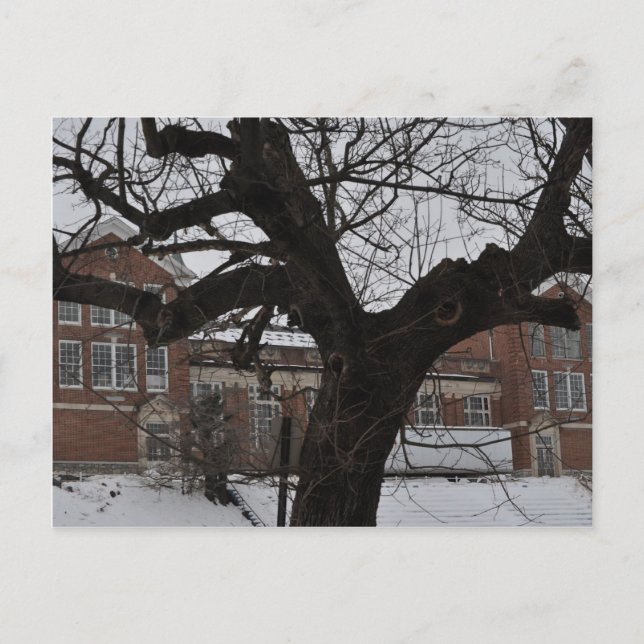 Lee High Postkarte (Vorderseite)