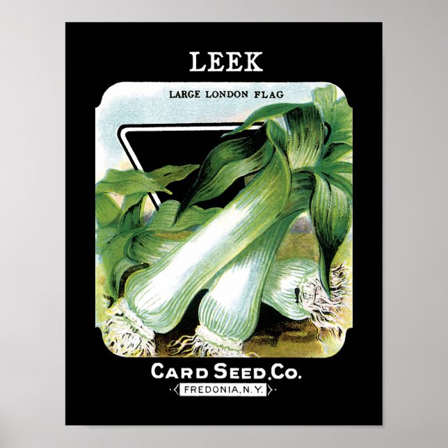 Leek-Seed-Packungs-Etikett Poster (Vorne)