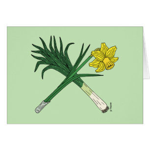 Leek und Daffodil Crossed