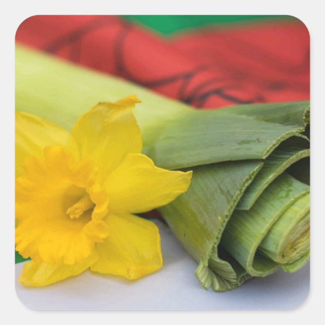 Leek-Welsh-Brauch Quadratischer Aufkleber (Vorderseite)