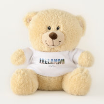 Leelanau Keepake Teddy Bear
