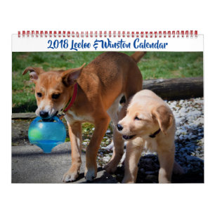 Leeloo & Winston Large 2 Page Calendar Kalender