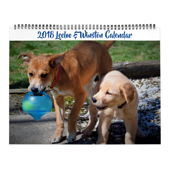 Leeloo & Winston Large 2 Page Calendar Kalender (Titelbild)