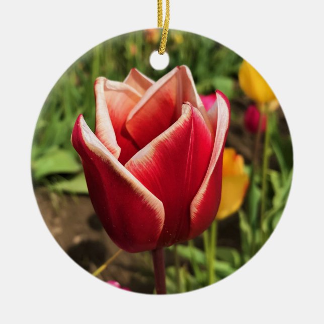 Leen Van Der Mark Tulip, Oregon Keramik Ornament (Vorne)
