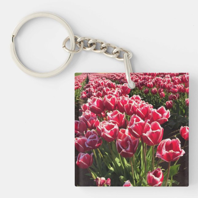 Leen Van Der Mark Tulips, Oregon Schlüsselanhänger (Vorderseite)