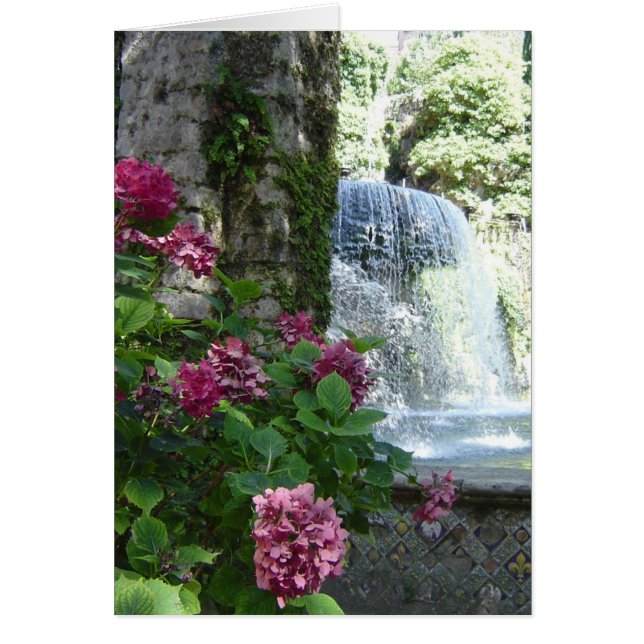 Leere Anlassmit blumenkarte des Wasserfalls (Vorne)
