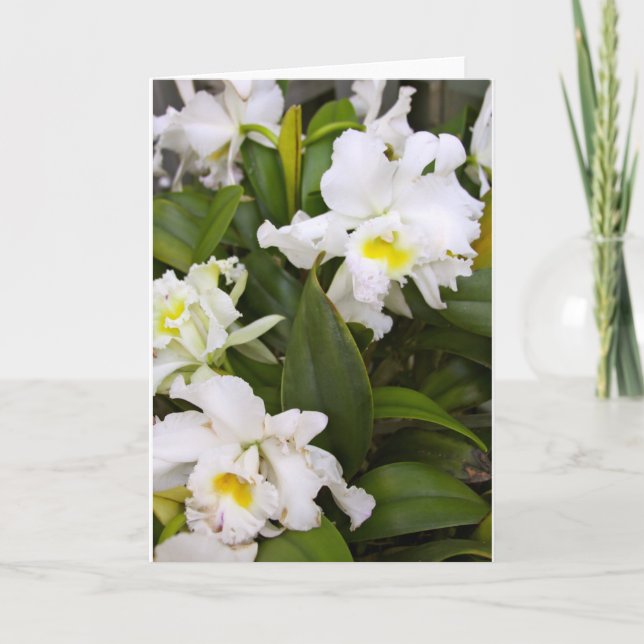 Leere Anmerkungs-Karte Dankeskarte (Vorderseite)