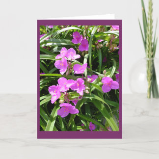 Leere Anmerkungs-Karte der Spiderwort-Blumen-II Karte