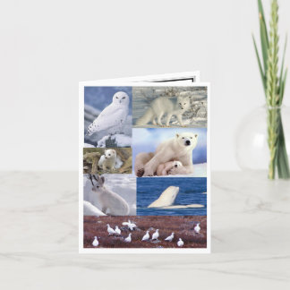 Leere Anmerkungs-Karte Karte