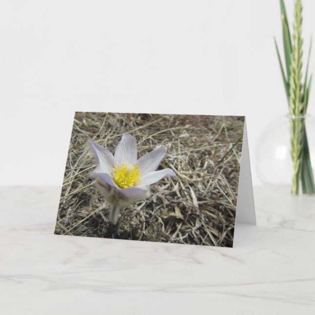 Leere Gruß-Karte Karte (Vorderseite)