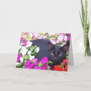 Leere Gruß-Karte mit Katze in den Blumen Karte