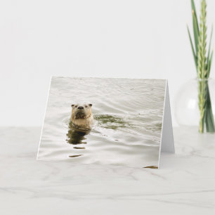 Leere Gruß-Karte mit Otter-Foto Karte