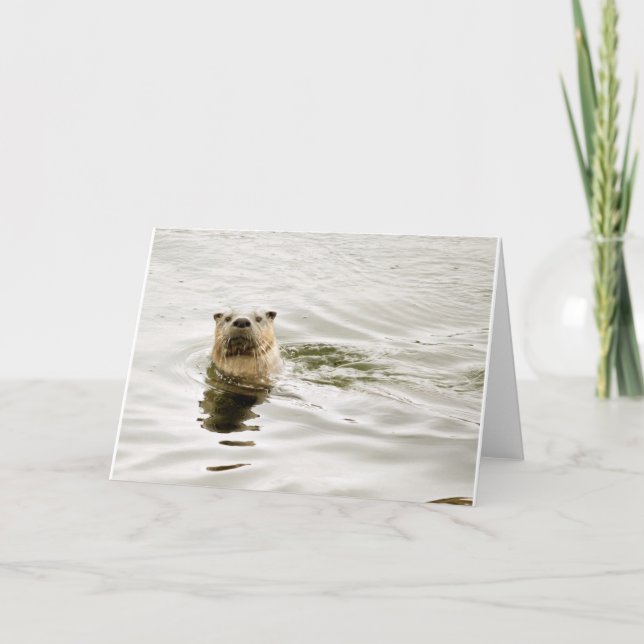 Leere Gruß-Karte mit Otter-Foto Karte (Vorderseite)