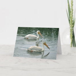 Leere Gruß-Karte mit Pelikan-Foto Karte
