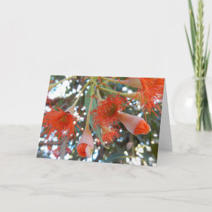 Leere Gruß-Karte - orange Gummi-Baum-Blumen Karte