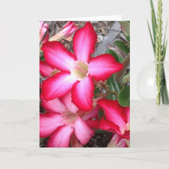 Leere Grußkarte Karte (Vorderseite)