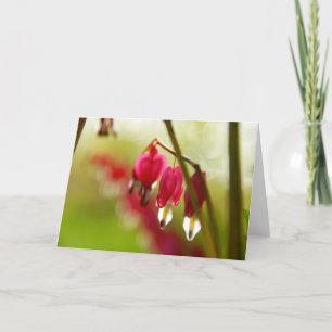 Leere Grußkarte mit Foto blutender Herzen Karte